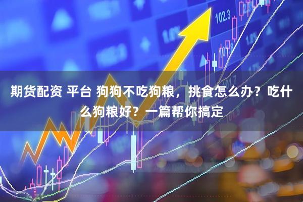 期货配资 平台 狗狗不吃狗粮,挑食怎么办?吃什么狗粮好?一篇帮你搞定