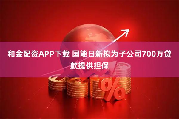 和金配资APP下载 国能日新拟为子公司700万贷款提供担保