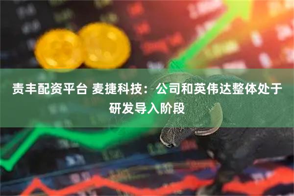责丰配资平台 麦捷科技：公司和英伟达整体处于研发导入阶段